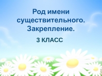 Презентация по русскому языку Род имён существительных