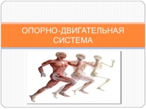 Презентация по биологии на тему ОДС (8 класс)