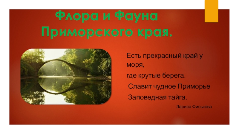 Презентация Проект по экологии Флора и фауна Приморского края.