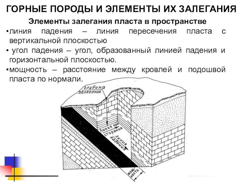 Элементы слоя. Элементы пространственного залегания пласта. Формы залегания угольных пластов. Пласт элементы пространственного залегания пласта. Элементы залегания угольных пластов.