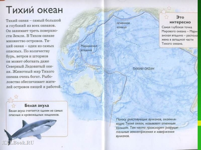 Площадь тихого океана. Книжки про материки и океаны. Сколько океанов в тихом океане. Тихий океан самый большой и глубокий. Физическая карта тихого океана.