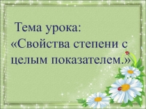 Презентация: Свойства степени с целым показателем