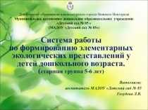 Система работы по формированию элементарных экологических представлений у детей дошкольного возраста. (старшая группа 5-6 лет)