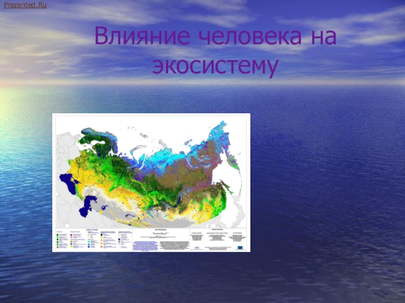 Влияние человека на экосистемы презентация 11 класс