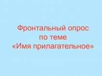 Презентация Фронтальный опрос по теме Имя прилагательное