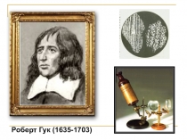 Презентация по биологии на тему Общие сведения о клетках (9 класс)