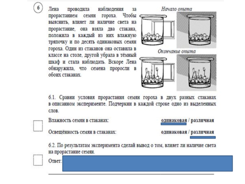 Впр 4 класс окр мир презентация