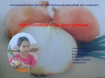 Презентация исследовательской работы Выращивание лука в домашних условиях на Севере