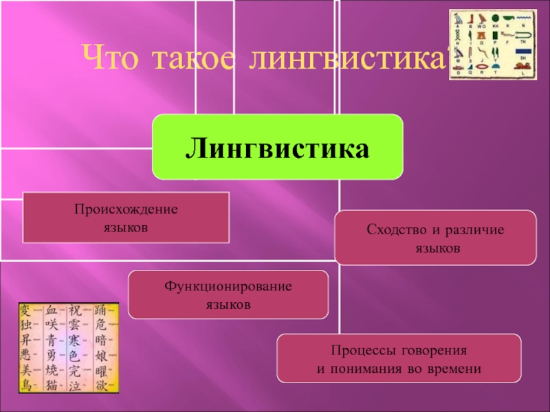 Лингвистика это. Что изучает лингвистика. Лингвистика это кратко. Языкознание. Что такое лингвистика в русском языке.