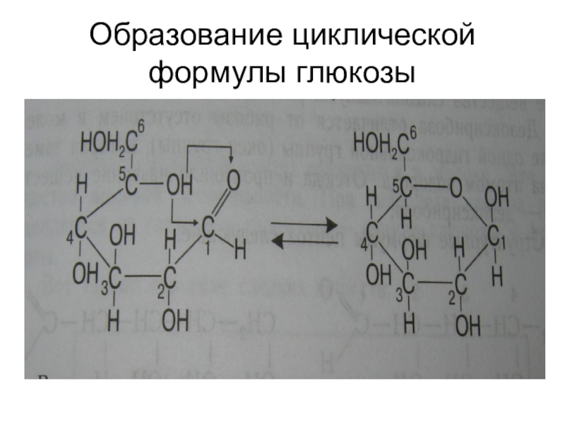 Циклическая формула глюкозы. Линейное строение Глюкозы. Цикличная формула Глюкозы. Циклическая форма Глюкозы.