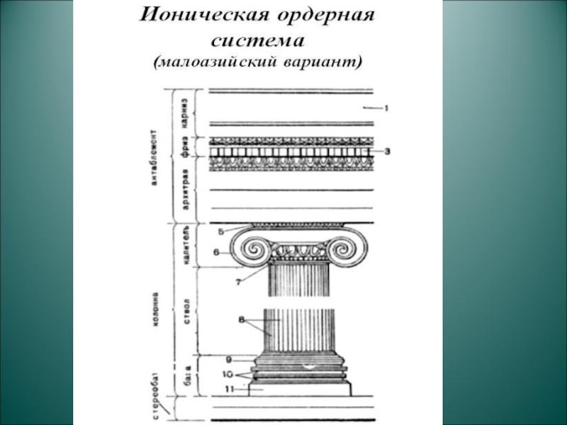 Ионический ордер схема