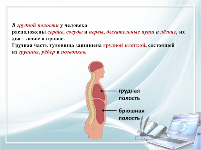 Общий обзор. Общий обзор организма человека. Общий обзор организма человека презентация. Биология организм человека общий обзор. Общий обзор организма биология 8 класс.