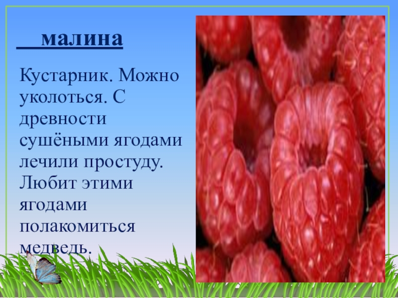 В лес по ягоды пойдем 1 класс пнш презентация