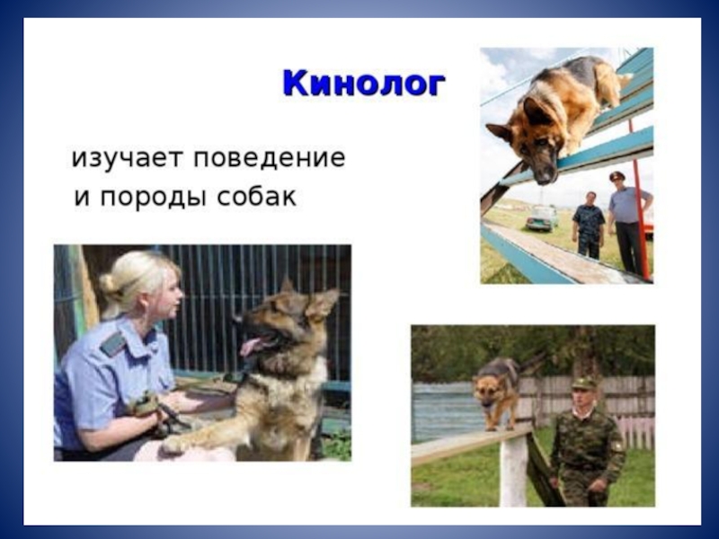 Проект профессия кинолог