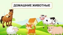 Презинтация на тему Домашние животные