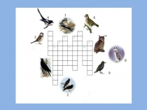 Презентация к уроку природоведения в 5 классе по теме Звери