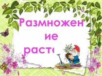 Презентация по предмету познание мира на тему Размножение растений