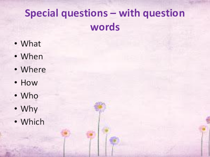 Special questions – with question wordsWhatWhenWhereHowWhoWhyWhich