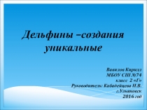 Проект Дельфины-создания уникальные,2 класс