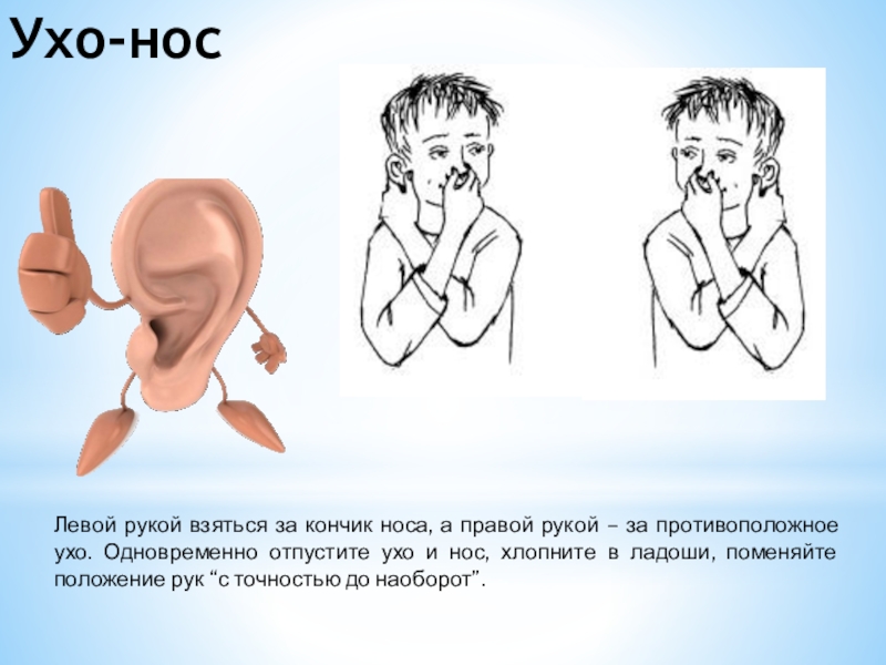 Правой левой носом. Кинезиологические упражнения ухо нос. Левая ноздря правое ухо. Кинезиологическое упражнение ухо нос картинка. Картинка к кинезиологическому упрвжнению ухо – нос – хлопок».