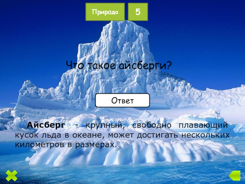 Что означает северный. Викторина Арктика. Викторина по Арктике с ответами. Арктика слово. Вопросы про Арктику с ответами.