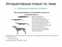 Плакат Эволюция скелетных систем