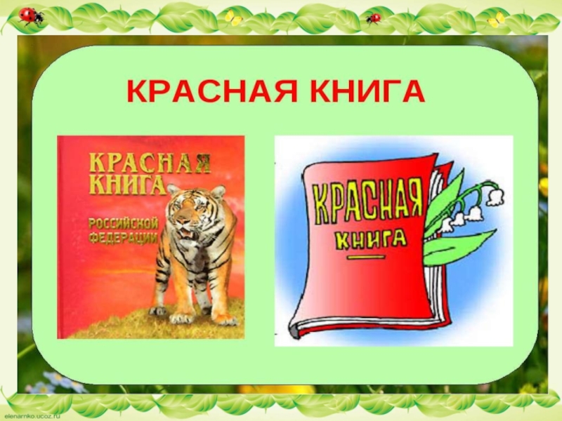 Картинка красной книги россии для проекта