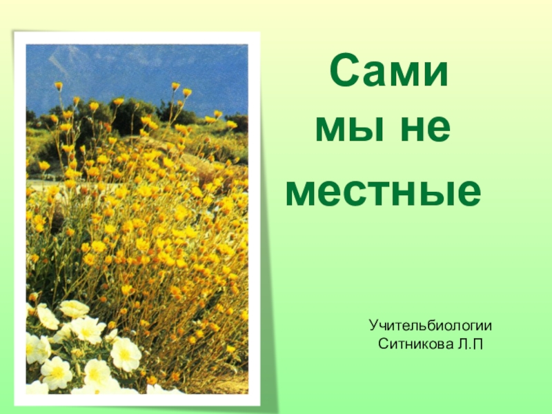 Презентация по биологии  Сами мы не местные.