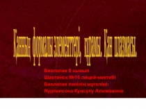 Қанның құрамы, қан жасушалары. Эритроциттер