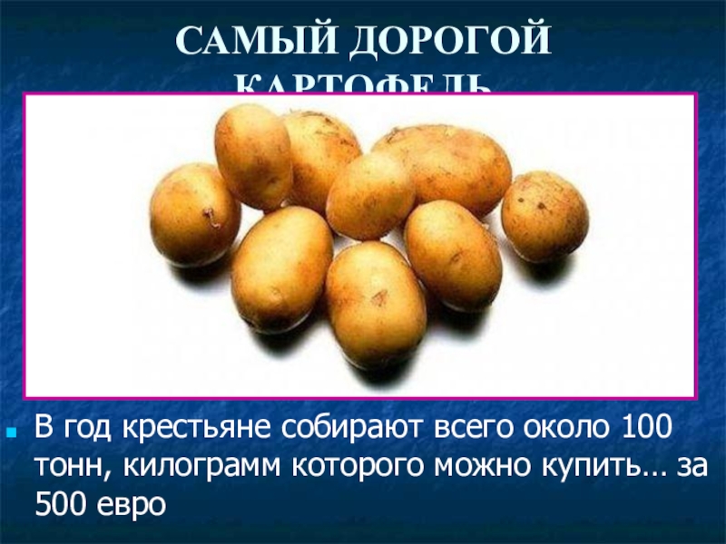 самый дорогой картофель. сорт la bonnotte. сорт la bonnotte из франции. сорт la bonnotte из франции. самый дорогой картофель в мире la bonnotte.