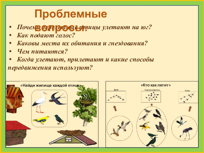 Тема перелетные птицы в старшей группе. Модель трех вопросов на тему перелетные птицы. Чем питаются перелеьгые птиц. Цель проекта перелетные птицы. Перелетные птицы проект задачи.