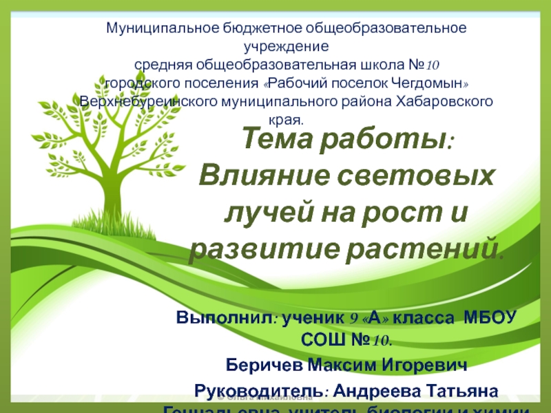 Презентация рост и развитие растений 6 класс