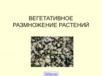 Презентация по биологии на темуВегетативное размножение растений(6 класс)