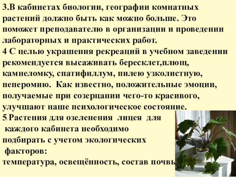 Влияние комнатных растений на здоровье человека проект 9 класс