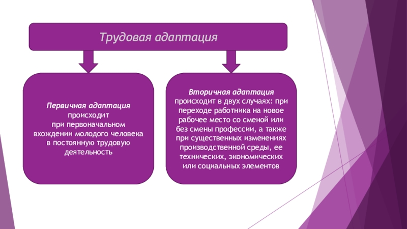 Трудовая адаптация персонала презентация