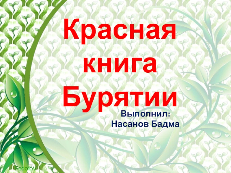 Презентация Презентация по биологии Красная книга Бурятии 7 класс