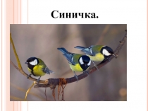 Презентация по русскому языку к программе Школа России. Изложение Синичка (3 класс)