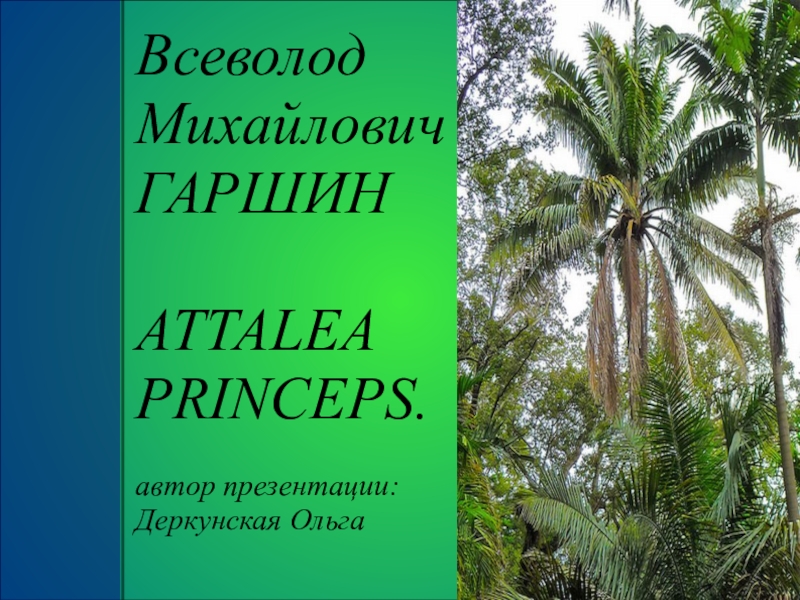 Attalea princeps презентация 5 класс