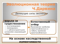 Презентация по биологии на тему Эволюция - теория
