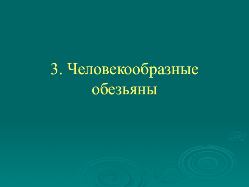 Презентация на тему человекообразные