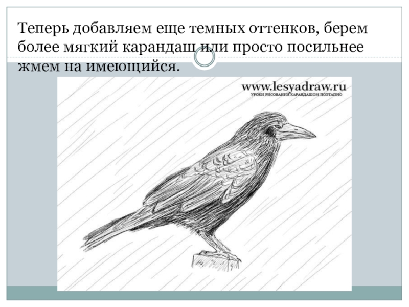 Теперь добавить. Внешнее строение Грача. Рисунок Грача 1 класс. Урок изо первый класс Грач. Рисование Грача поэтапно презентация.