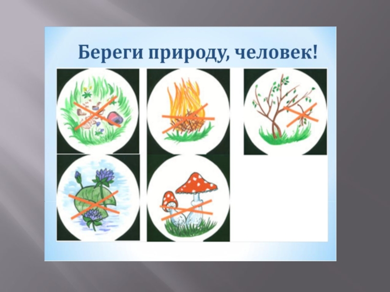 Знаки береги. Берегите природу знаки. Табличка берегите природу. Знаки береги природу. Эмблема береги природу.