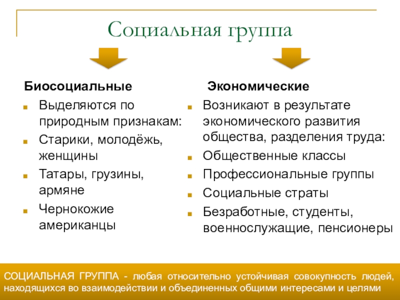 Социально экономическая группа признаки. Биосоциальные группы. Пример биосоциальной группы. Биосоциальные признаки. Биосоциальная сущность человека группы.