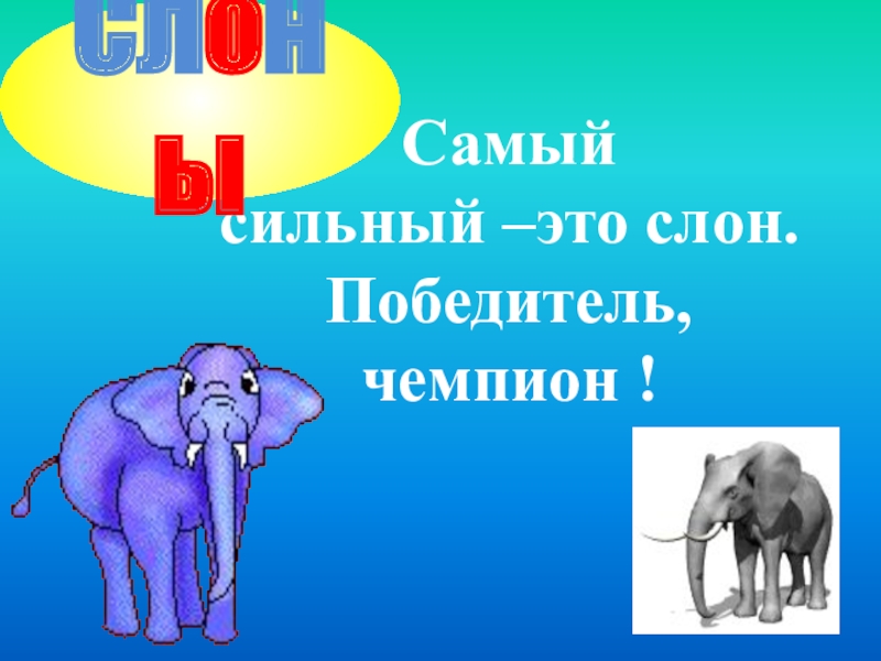 Слон победитель. Слово слон. Последний звук в слове слон. Картинка схема слова слон. Транскрипция слова слон