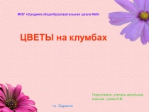 Презентация по окружающему миру Цветы, которые растут на клумбе 1 класс