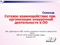 Презентация Сетевое взаимодействие при организации внеурочной деятельности
