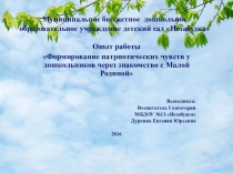 Формирование патриотических чувств у дошкольников через знакомство с Малой Родиной
