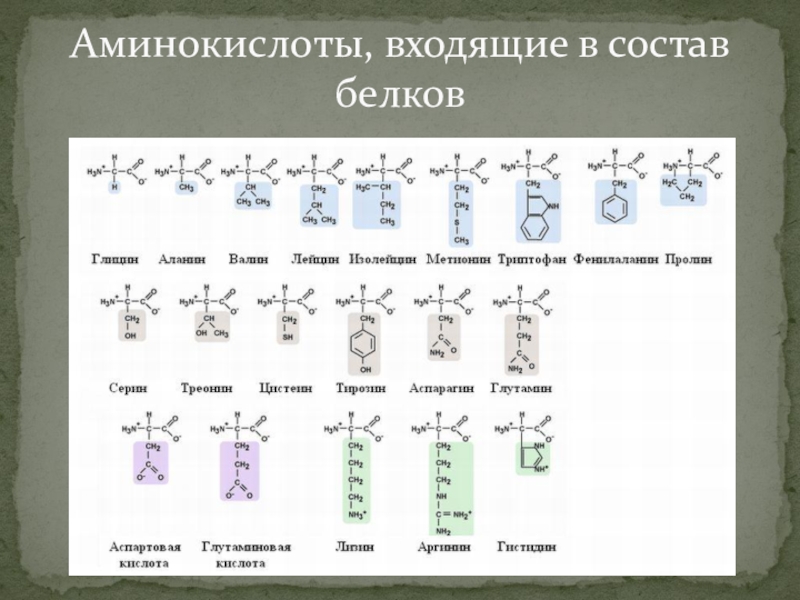 Из скольких аминокислот состоят белки. 20 Аминокислот входящие в состав белков. Альфа аминокислоты входящие в состав белков. 20 Аминокислот, входящих в состав природных белков.. Аминокислотный состав белков таблица.