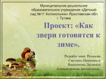 Презентация проекта Как звери готовятся к зиме (средняя группа)