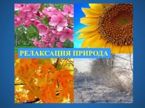 Презентация Классный час Релаксация. Природа
